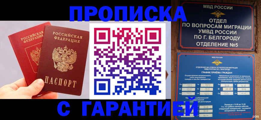 прописка 2025 в Поворино